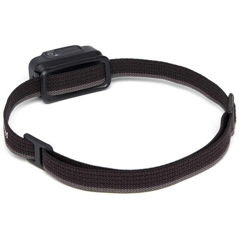 Black Diamond Equipment - SpotLite 200 Headlamp - Graphite - Image 2